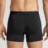 Baumwollboxershorts mit sichtbarem Gummiband