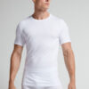 Stretch-T-Shirt aus hochwertiger Baumwolle Stretch-T-Shirt aus hochwertiger Baumwolle